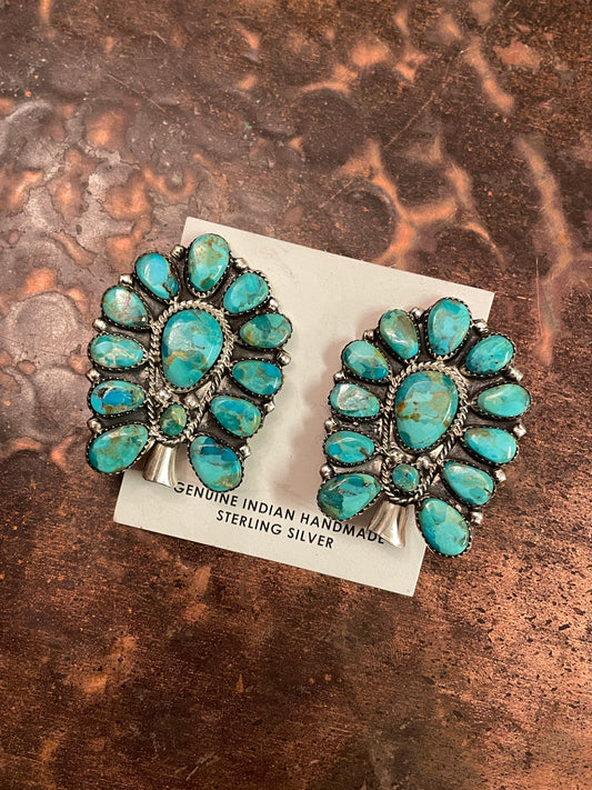 Gorgeous turquoise earrings