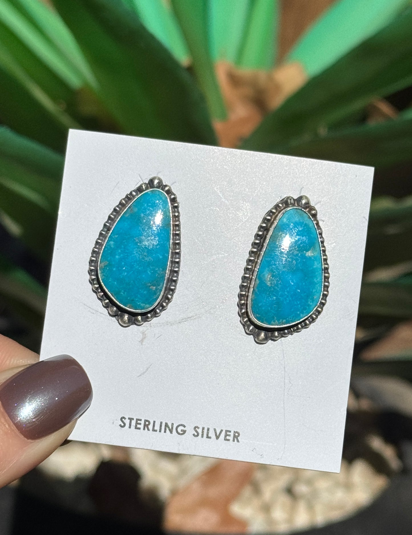 Sonoran Sterling Silver earrings