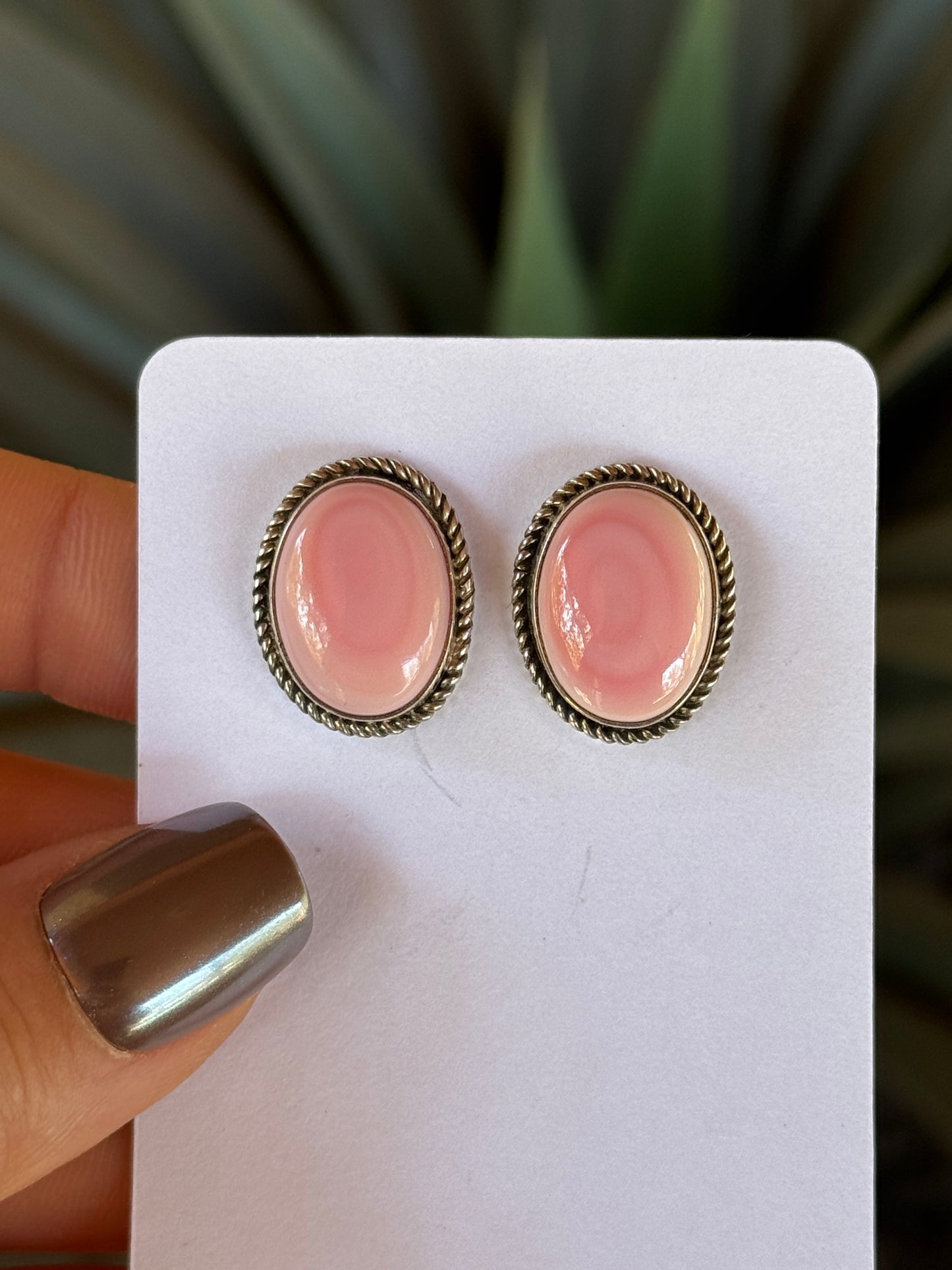 Sterling Silver Pink Conch oval earrings